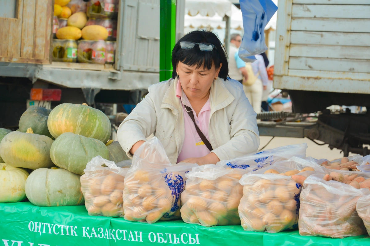 Сельскохозяйственная ярмарка Мактаральского района в Астане - фото 16