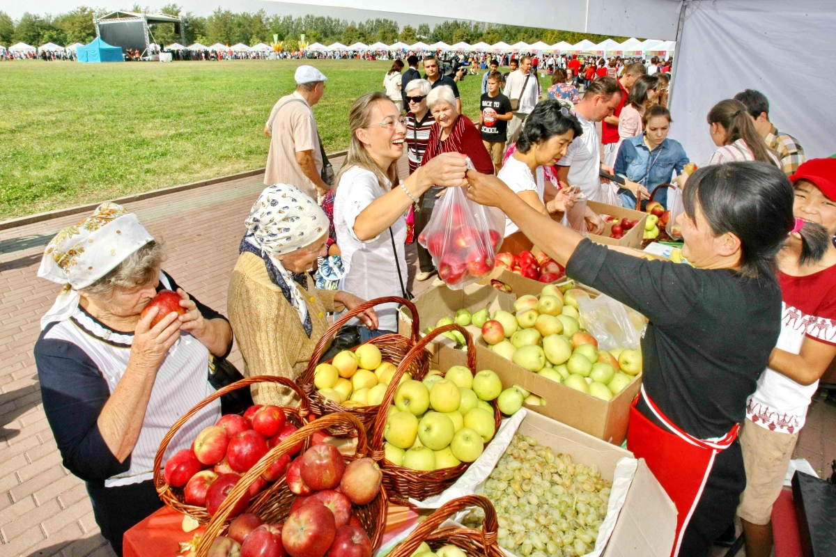 150 тонн яблок привезли на фестиваль «АЛМАfest-2016» - фото 1