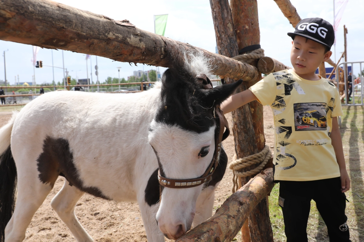 Как проходит «Nur-Sultan Ethno Fest» в столице - фото 3