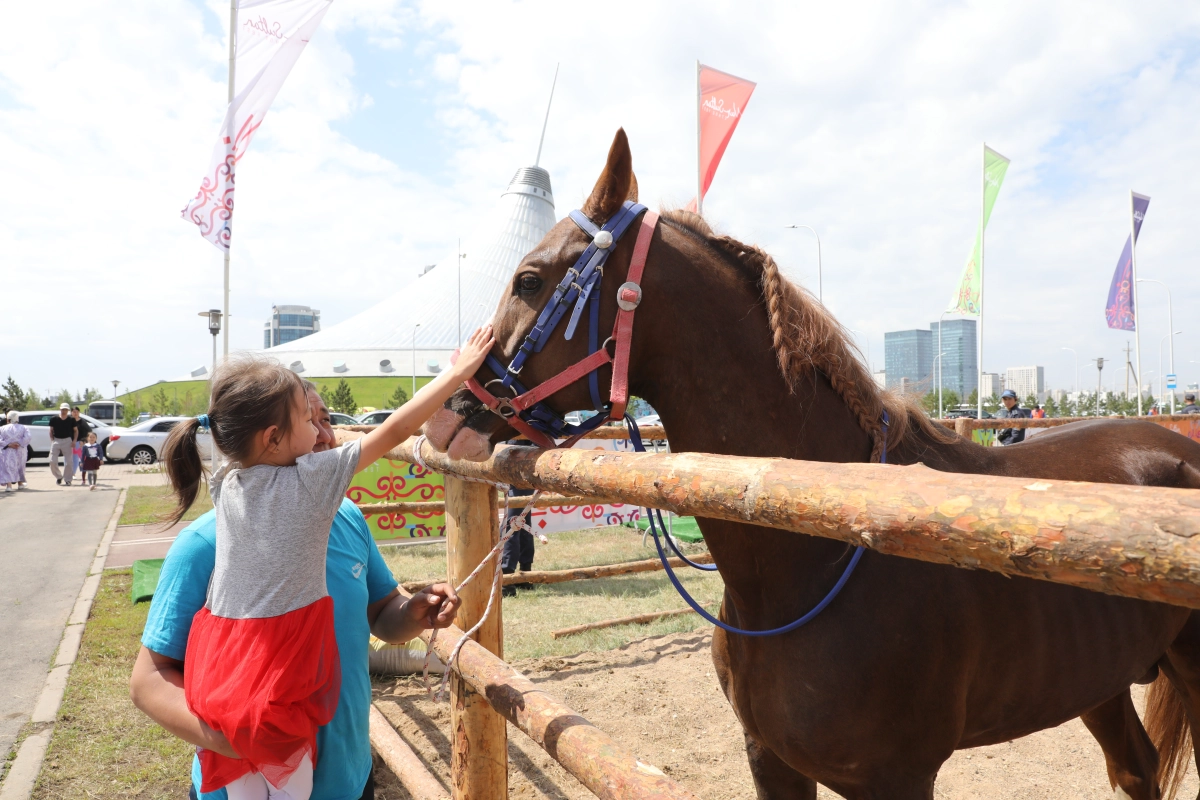 Как проходит «Nur-Sultan Ethno Fest» в столице - фото 13