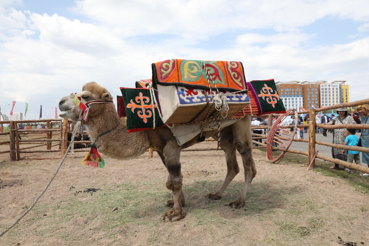 Как проходит «Nur-Sultan Ethno Fest» в столице - фото 21