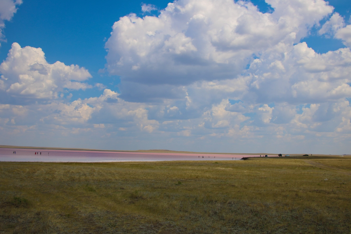 Розовое чудо Акмолинской области - фото 11