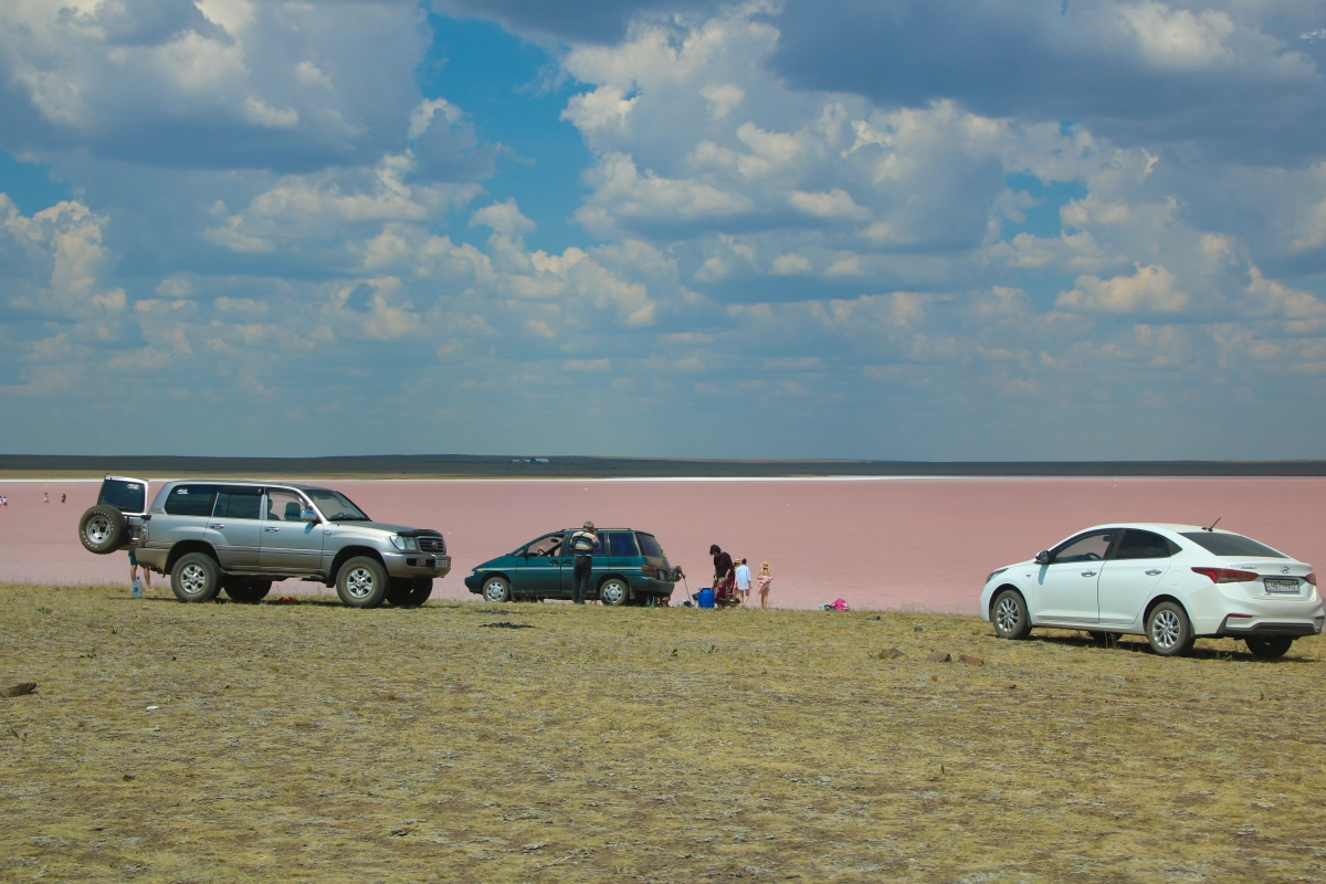 Розовое чудо Акмолинской области - фото 12