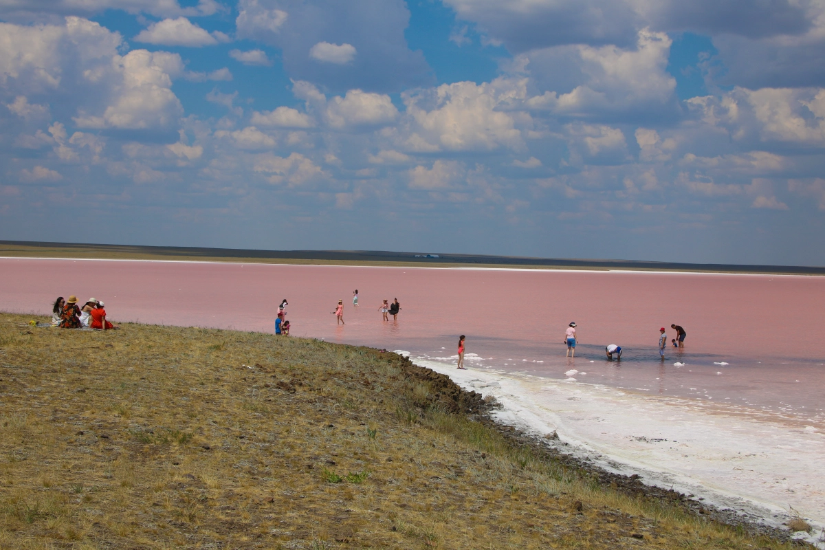 Розовое чудо Акмолинской области - фото 13