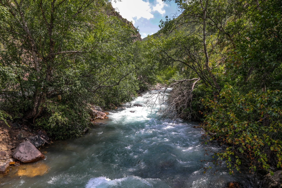 Медвежий водопад - одно из популярных мест для туристов - фото 1