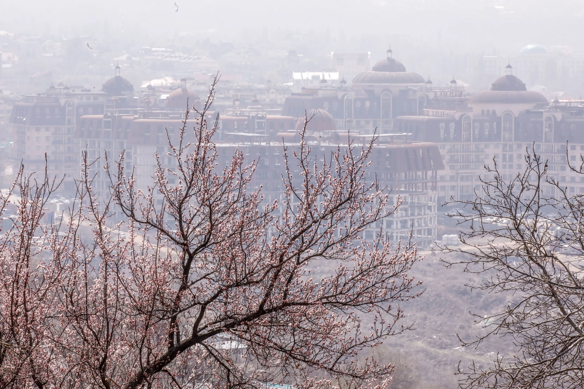 г. Алматы, 2019-2020  г - фото 25