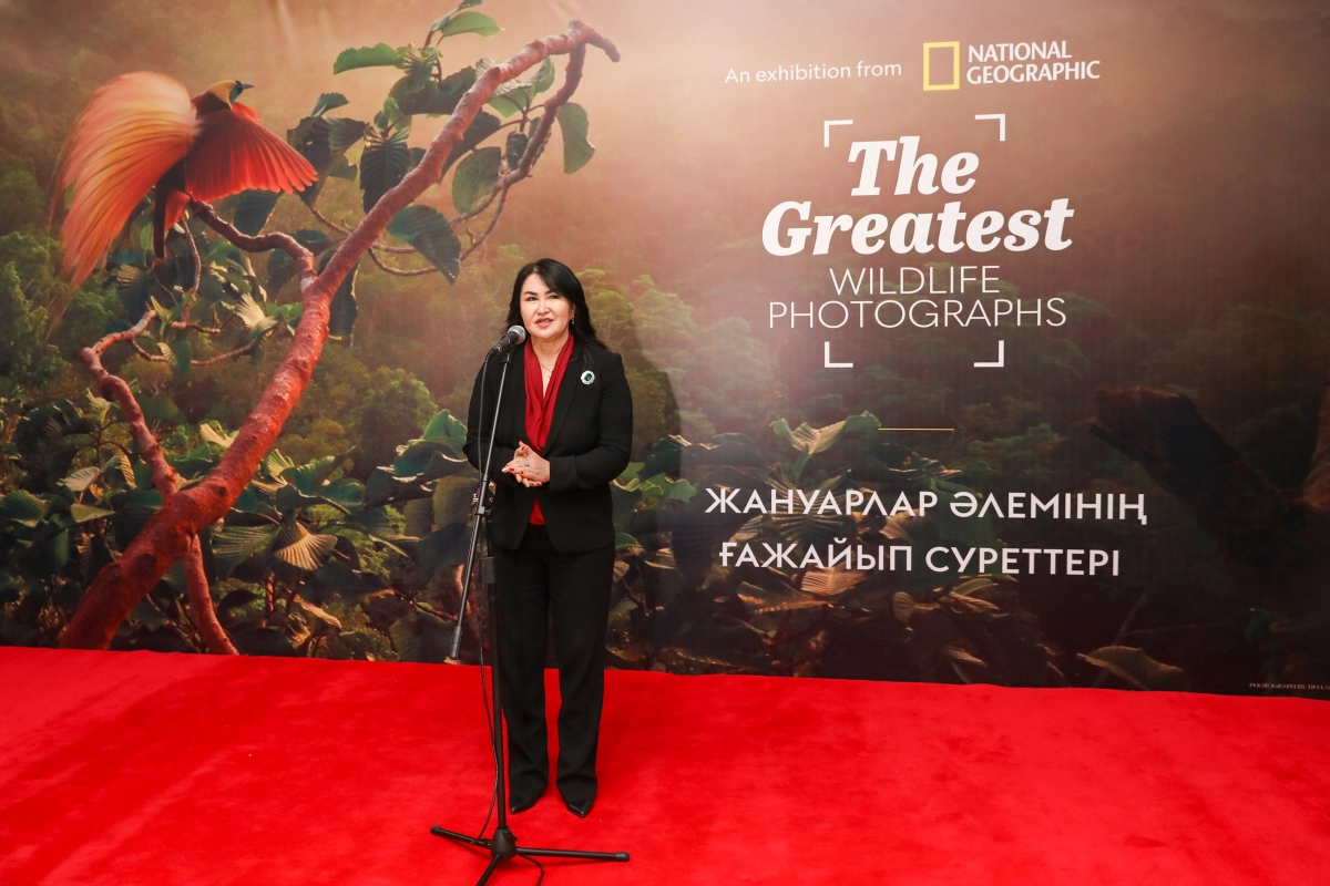 В Национальном музее РК открылась выставка журнала «National Geographic» - фото 15