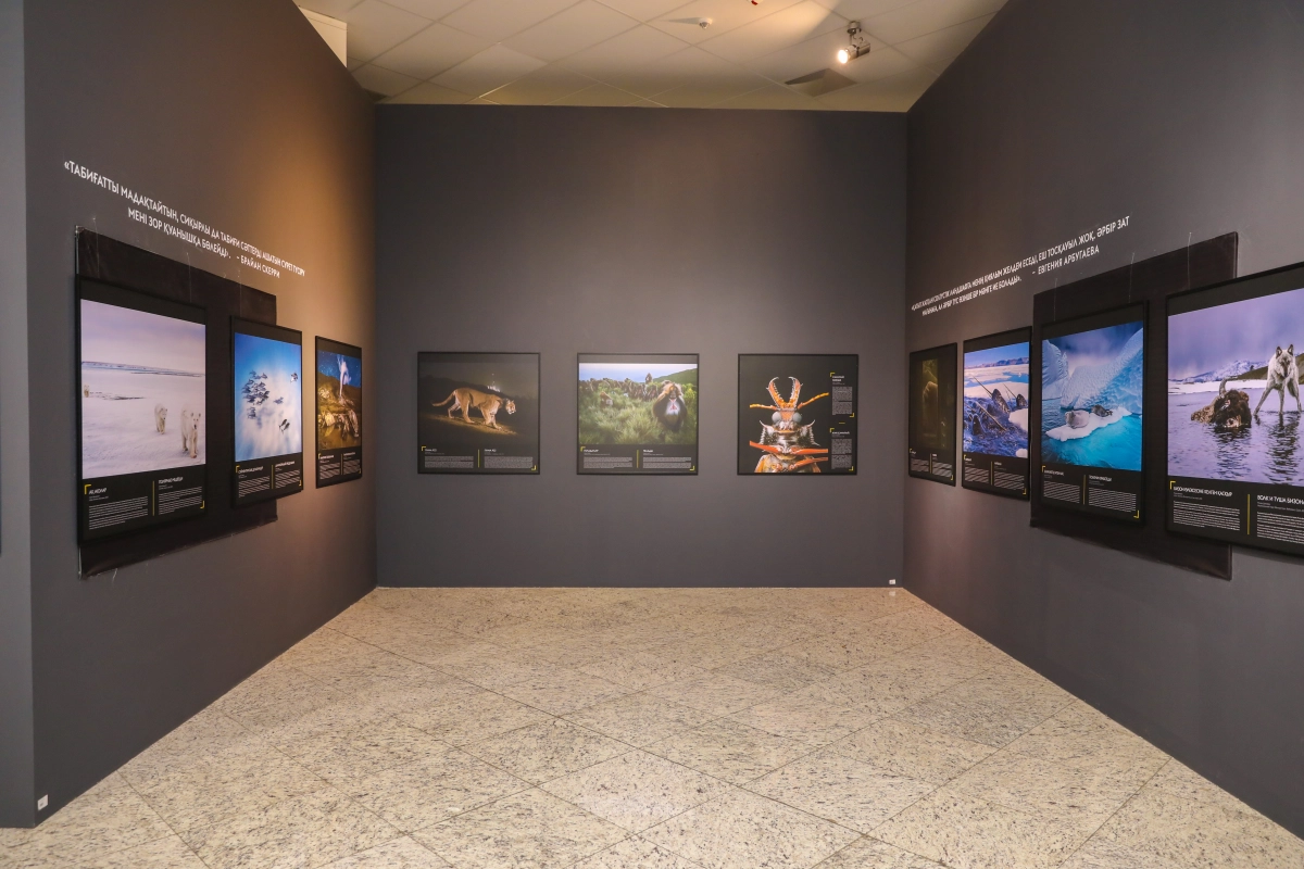 В Национальном музее РК открылась выставка журнала «National Geographic» - фото 23